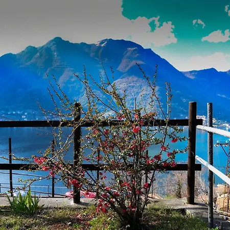 Ca' Del Fico Apartment Pognana Lario